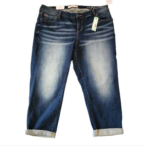 NWT Slink Tasha Boyfriend Curvy Jeans Stitch Fix Size 18W - Picture 1 of 16